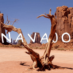 Navajo Reis